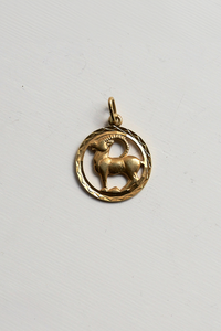 Capricorn pendant